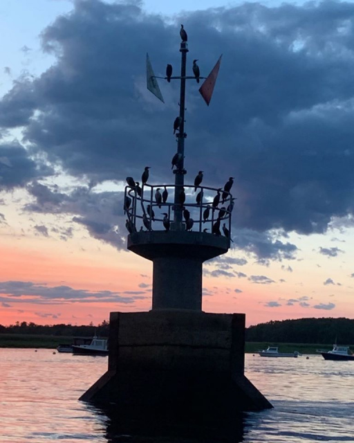 A greeting  Coming into the harbor