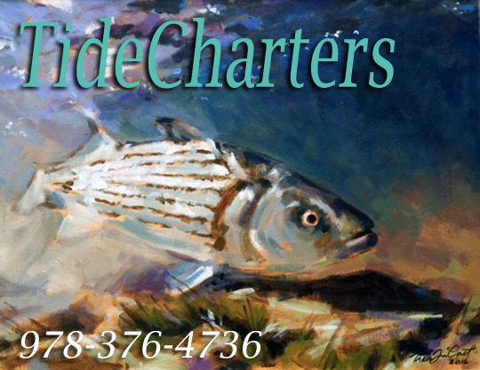 Tide Charters Newburyport